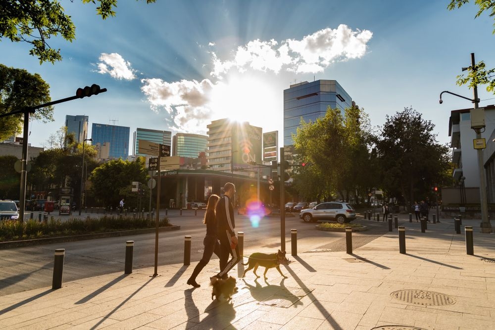 Masaryk Avenue in Polanco, CDMX / Kukun