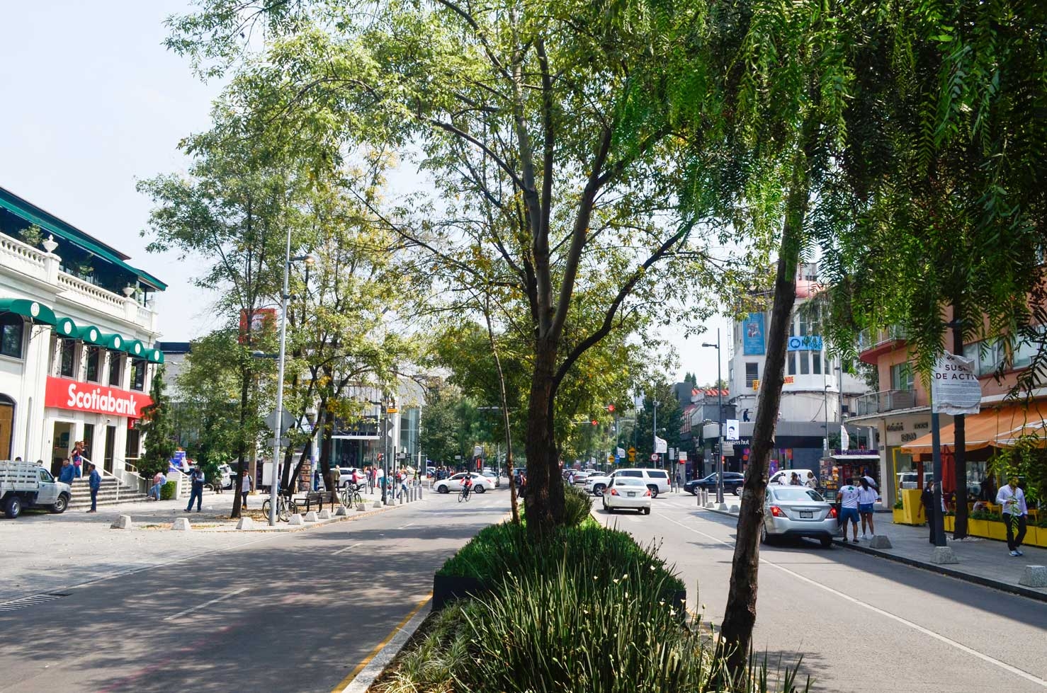Panduan untuk mengunjungi tempat pertama di Polanco, Ciudad de México