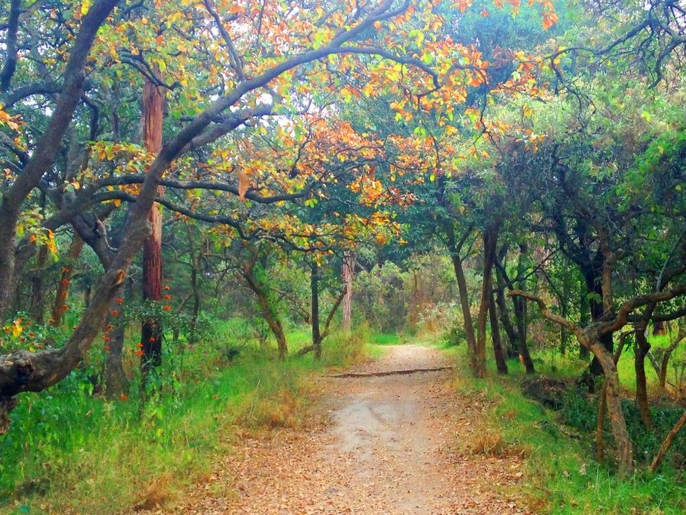 Blog Image