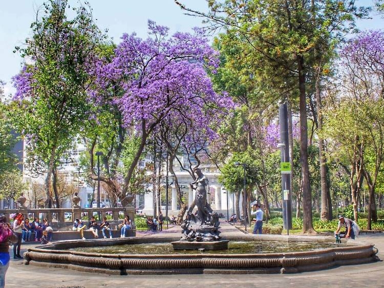 Activities in March in Mexico City / RR SS