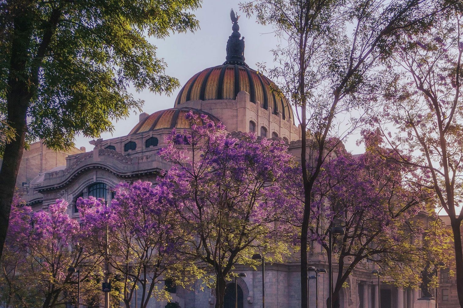 What is the best time to visit Mexico City?. / Pexels