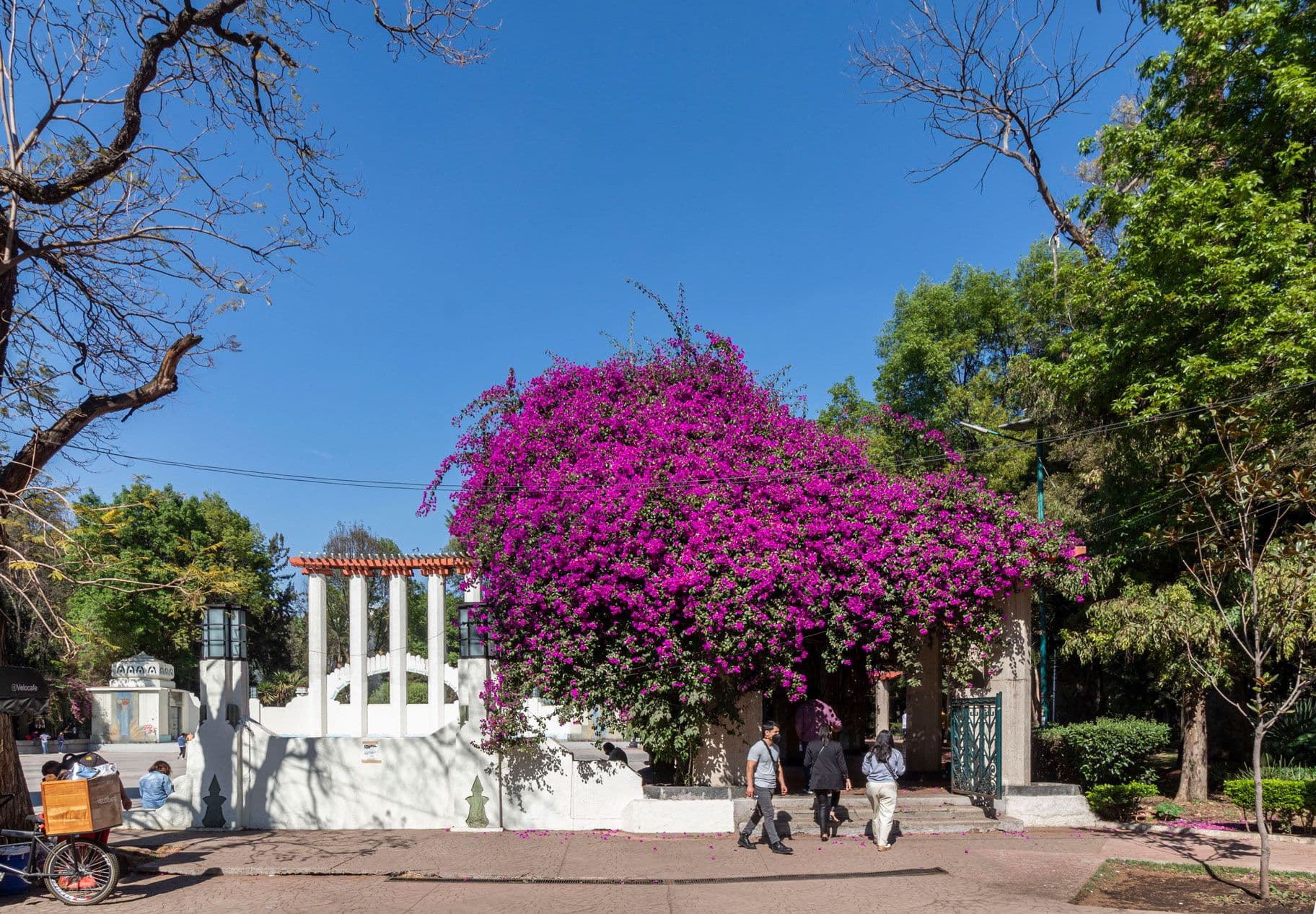 The best areas to stay during the soccer season in Mexico City