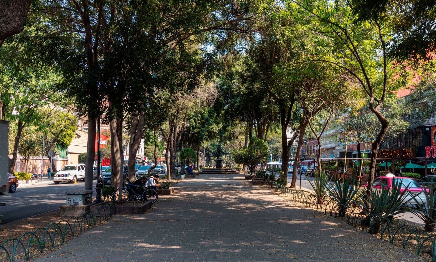 Roma vs. Condesa: Which neighborhood should you stay in for the Soccer Season?