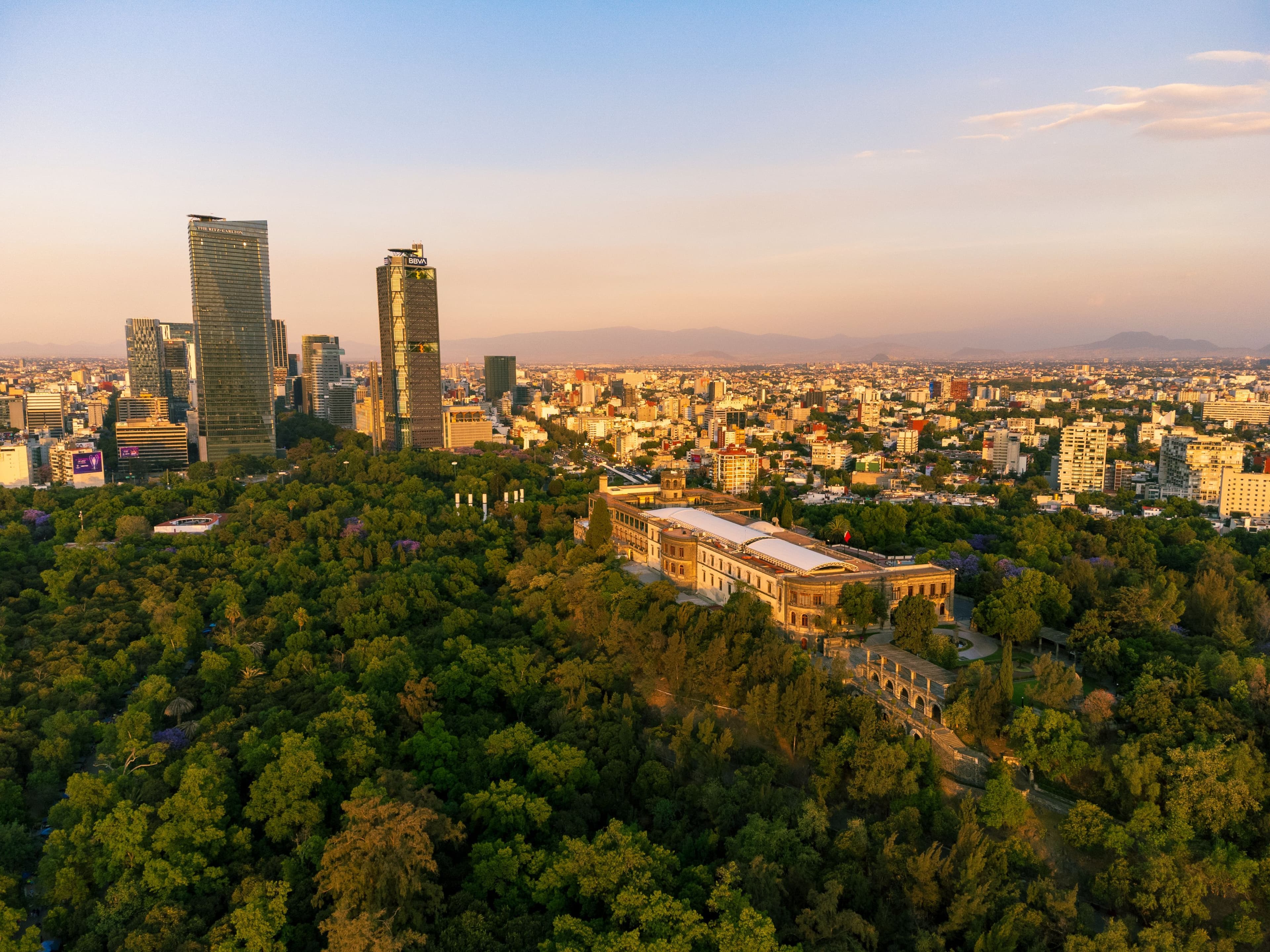 What to Do in Mexico City During Match Season: Plans to Make the Most of Your Stay